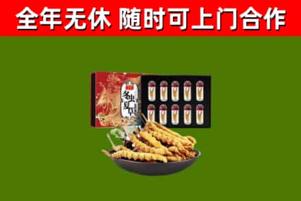秭归县回收冬虫夏草价格